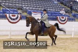 25R1516_00502 thumbnail