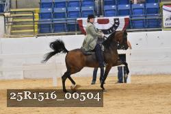 25R1516_00504 thumbnail