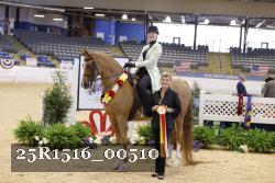 25R1516_00510 thumbnail