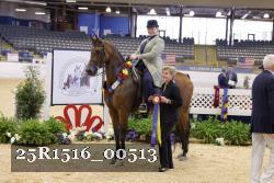 25R1516_00513 thumbnail