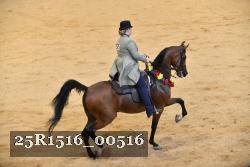 25R1516_00516 thumbnail