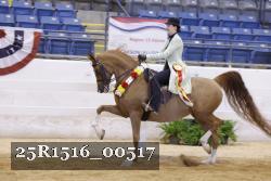 25R1516_00517 thumbnail