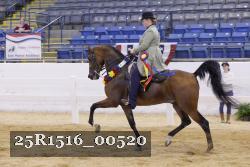 25R1516_00520 thumbnail