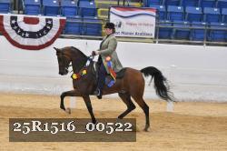25R1516_00522 thumbnail