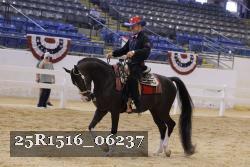25R1516_06237 thumbnail