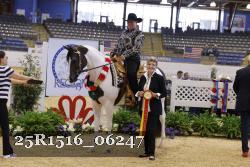 25R1516_06247 thumbnail
