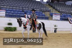 25R1516_06255 thumbnail