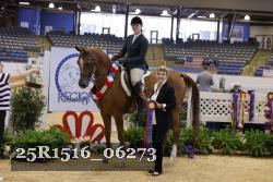 25R1516_06273 thumbnail