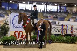 25R1516_06274 thumbnail