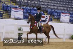 25R1516_06276 thumbnail