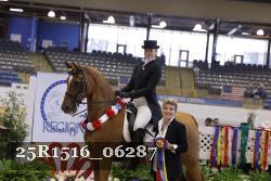 25R1516_06287 thumbnail