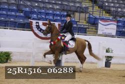 25R1516_06288 thumbnail
