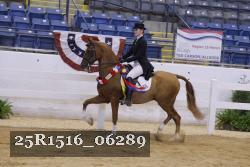 25R1516_06289 thumbnail