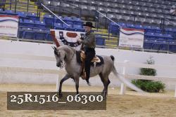 25R1516_06300 thumbnail