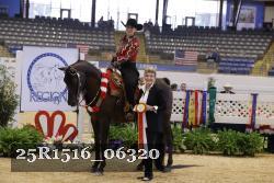 25R1516_06320 thumbnail