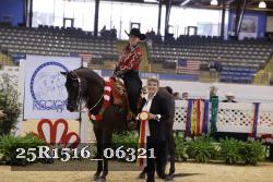 25R1516_06321 thumbnail