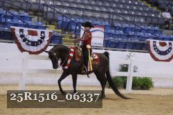 25R1516_06337 thumbnail