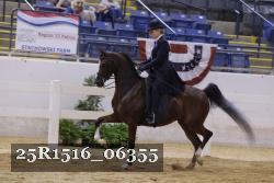 25R1516_06355 thumbnail