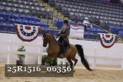 25R1516_06356 thumbnail