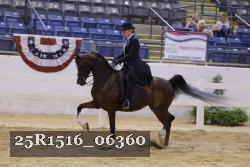 25R1516_06360 thumbnail