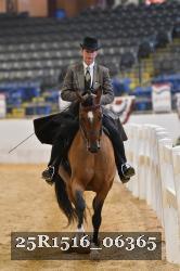 25R1516_06365 thumbnail