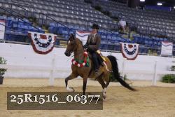 25R1516_06377 thumbnail