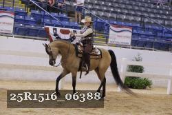 25R1516_06388 thumbnail