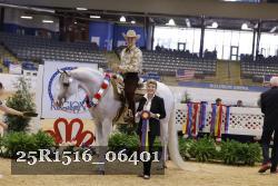 25R1516_06401 thumbnail