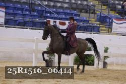 25R1516_06414 thumbnail