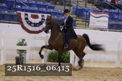 25R1516_06415 thumbnail