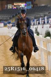 25R1516_06418 thumbnail