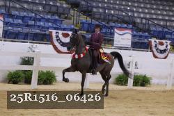 25R1516_06426 thumbnail