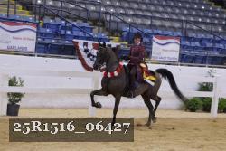 25R1516_06427 thumbnail