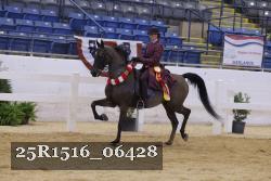 25R1516_06428 thumbnail