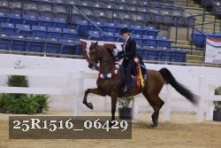 25R1516_06429 thumbnail