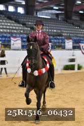 25R1516_06432 thumbnail