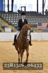 25R1516_06433 thumbnail
