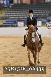 25R1516_06439 thumbnail