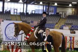 25R1516_06442 thumbnail