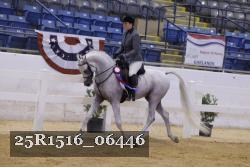 25R1516_06446 thumbnail