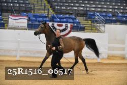 25R1516_06517 thumbnail