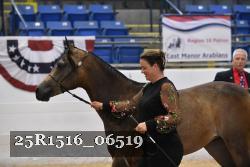 25R1516_06519 thumbnail