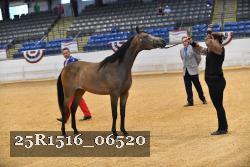 25R1516_06520 thumbnail