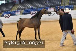 25R1516_06521 thumbnail