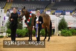 25R1516_06523 thumbnail