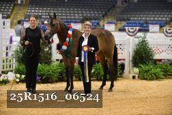 25R1516_06524 thumbnail