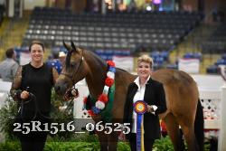 25R1516_06525 thumbnail