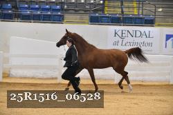 25R1516_06528 thumbnail