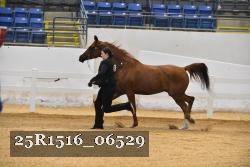 25R1516_06529 thumbnail