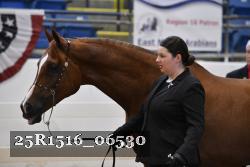 25R1516_06530 thumbnail